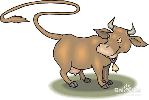 牛的尾巴有什么作用