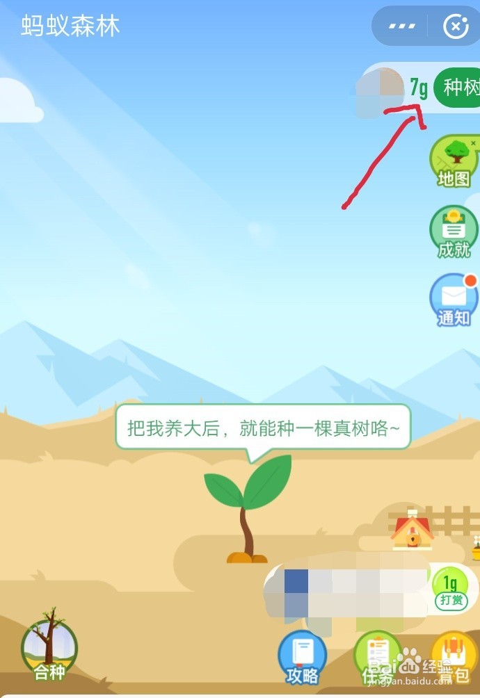 如何在支付宝中种树