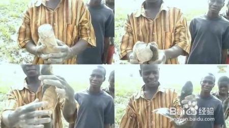 肺鱼这种不吃不喝冬眠四年的功夫，人类为什么不学一学？