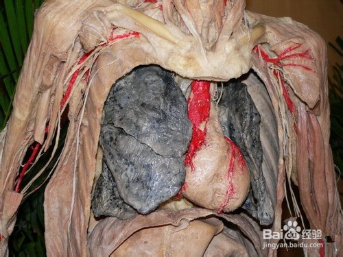 怎样做才能有效戒烟?