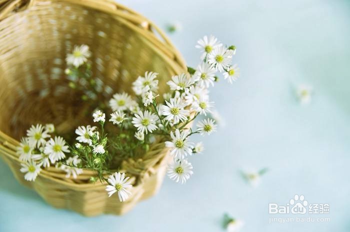 讲述：痔疮怎么治疗？