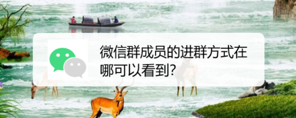 微信群成员的进群方式在哪可以看到