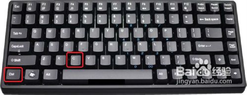 Excel 2010复制单元格方法