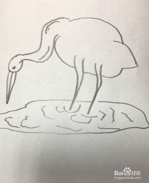 如何画一只捕鱼的鹤