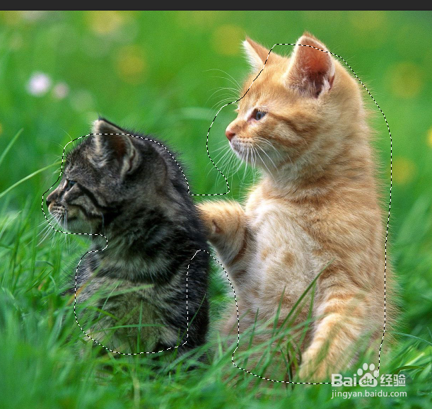 怎么使用PS中的快速蒙版？