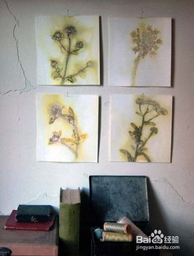 环保墙体野花装饰艺术