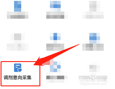 调剂意向采集系统怎么填