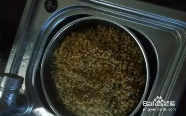 野河钓鲫鱼窝料技巧！渔获57斤 我用了5年