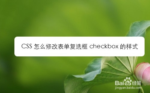 <b>CSS怎么修改表单复选框checkbox的样式</b>