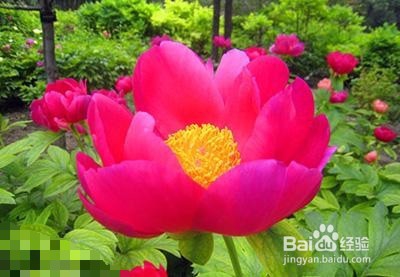 治疗腰痛的最好方法