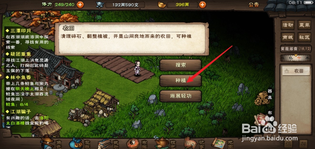 烟雨江湖八月桂花怎么种