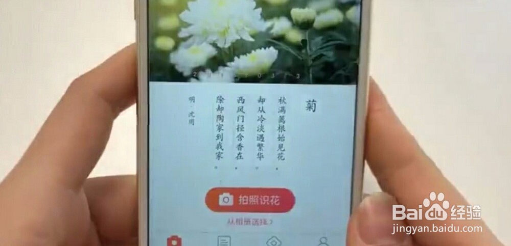 怎样利用微信来识别花草？