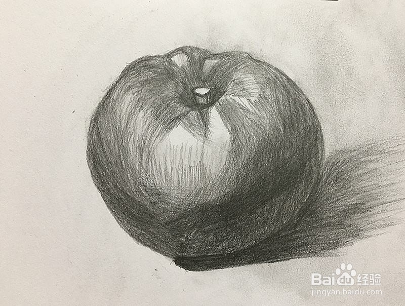 绘画初学者常犯的错误有哪些