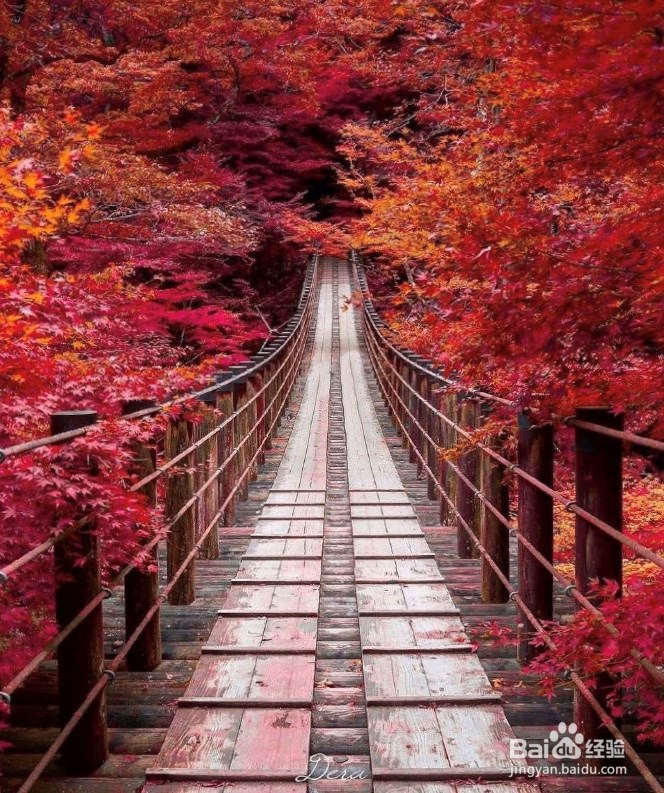 教你调出绝美神仙大片