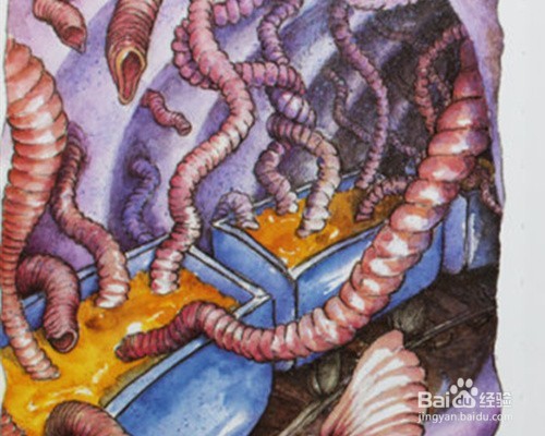 肚子里有个火车站——绘本故事