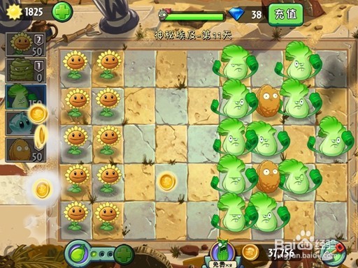 植物大战僵尸攻略