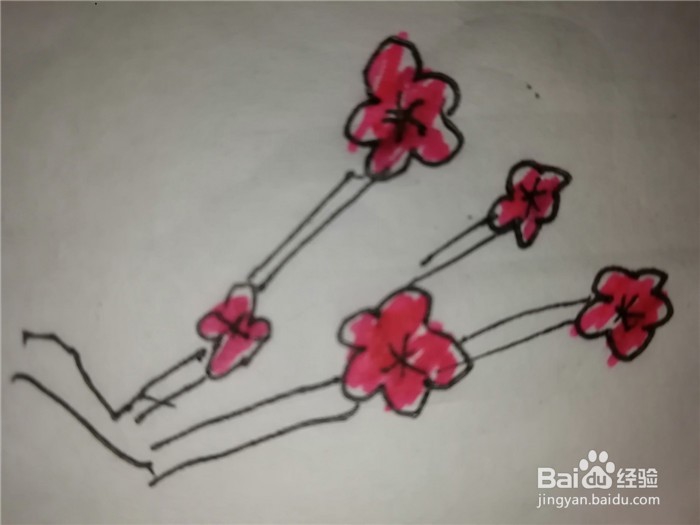 怎么样用简笔画画梅花