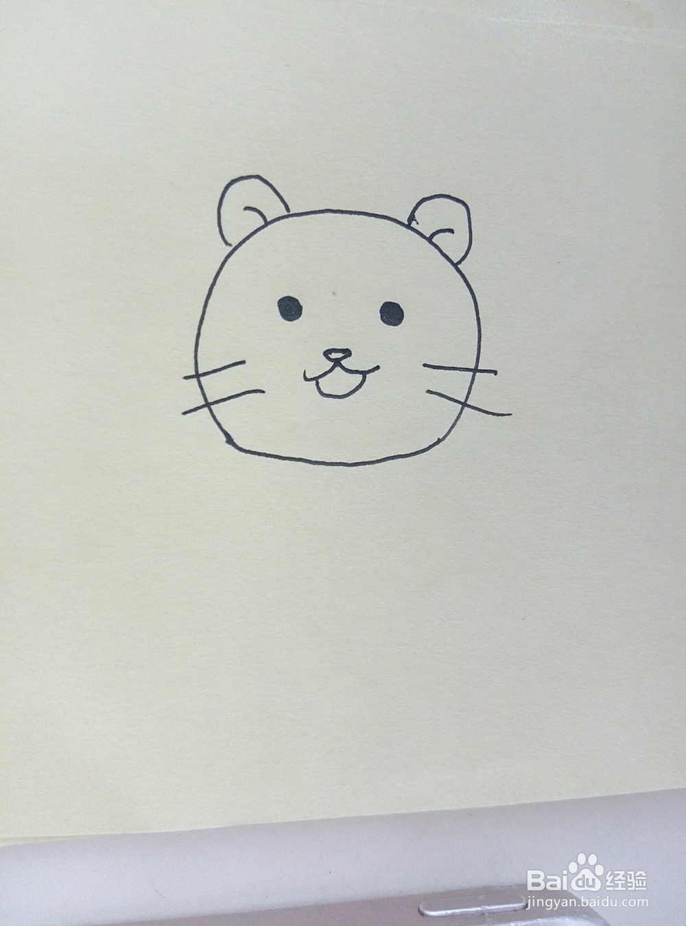 怎么画一头可爱的小狮子少儿简笔画