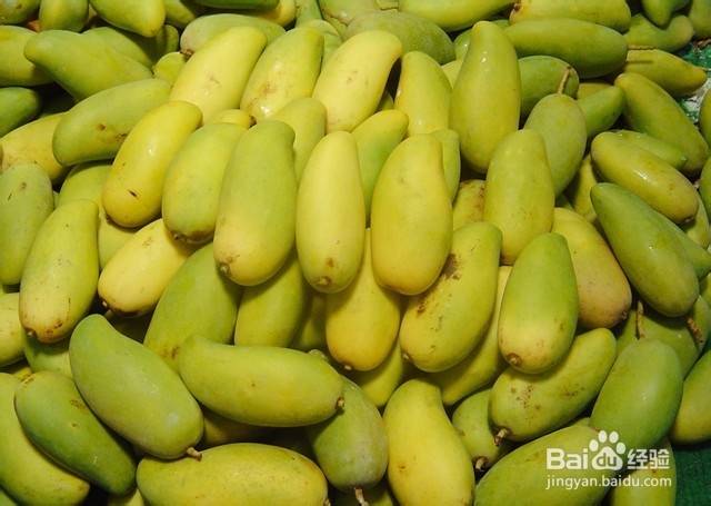 挑芒果，挑个大芒果