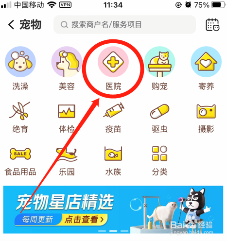 狗狗拉血便怎么办