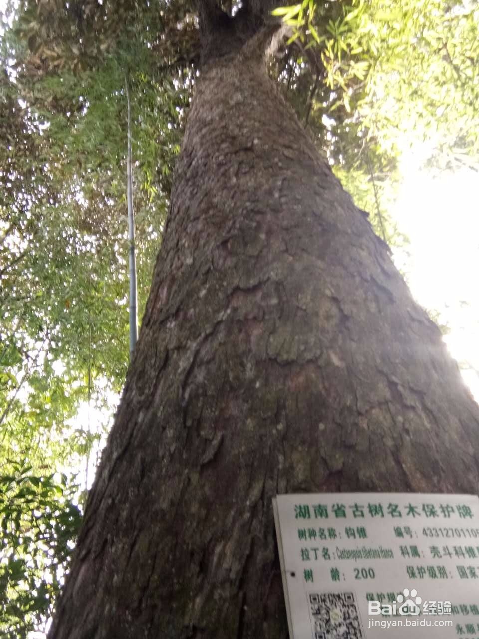 田云青老师旅游景观册编辑方法