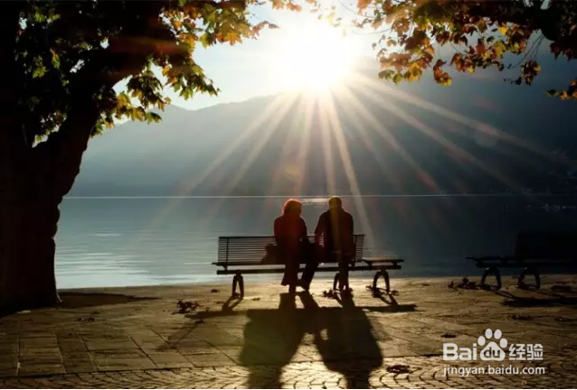 秋季如何拍出好照片？看完这篇文章你就全懂了！