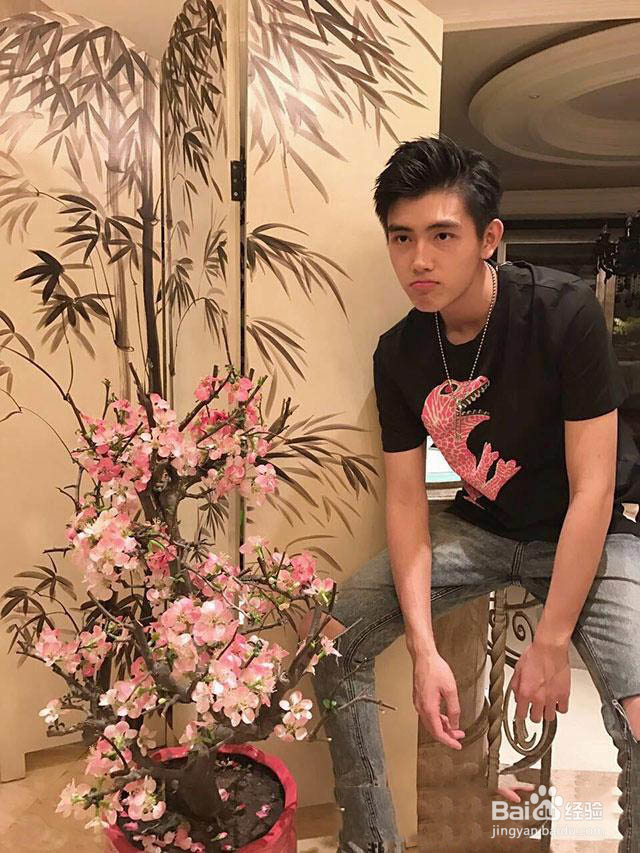 陈凯歌豪宅曝光 揭秘其堪称艺术殿堂的装修风格