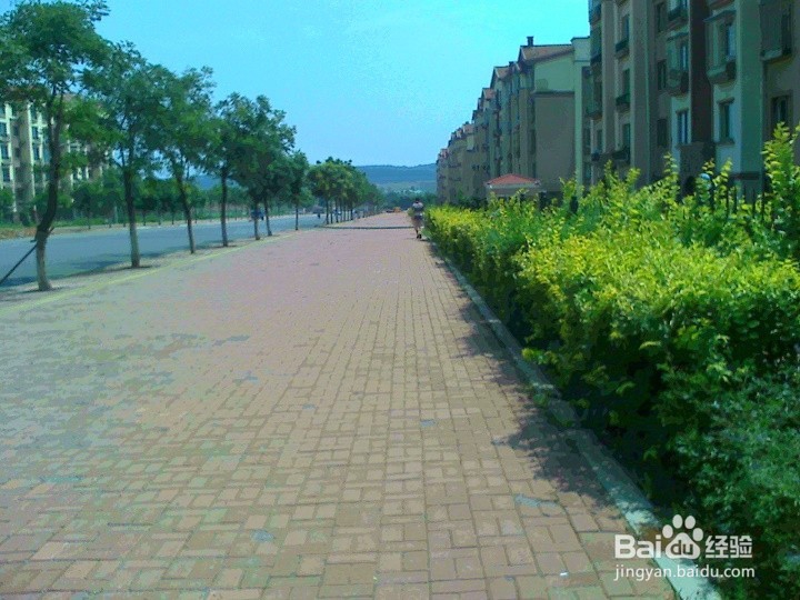 封闭小区的围墙要绿化植被