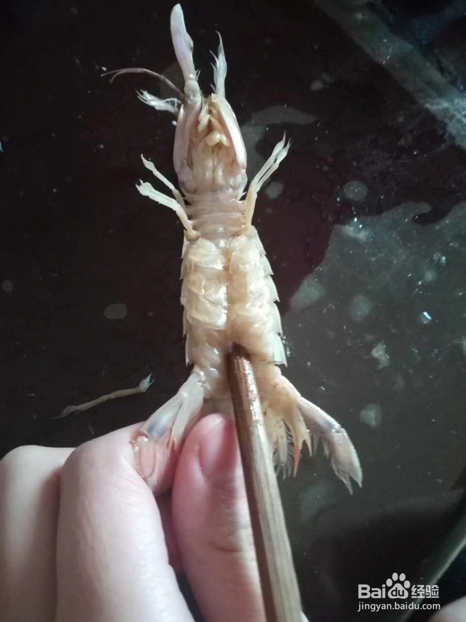 皮皮虾的正确吃法,简单易学。2秒剥虾