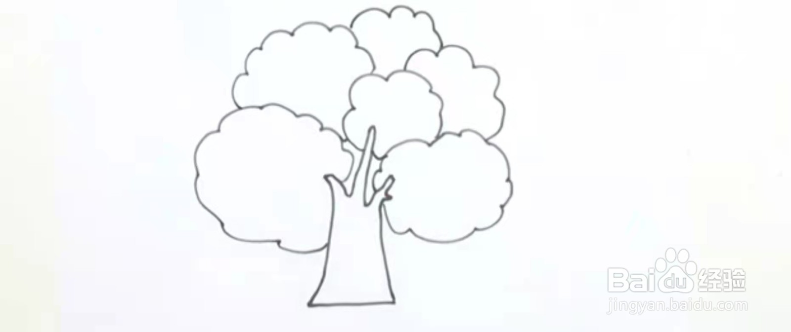 知识树简笔画简单图片