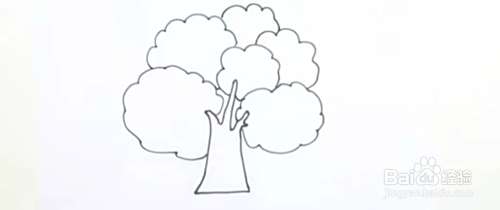 知识树怎么画