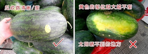 如何挑选西瓜的方法