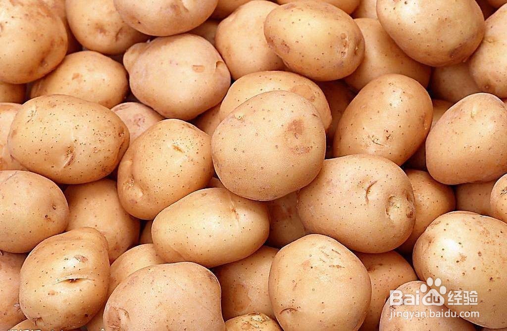 <b>关于土豆有哪些冷门知识</b>