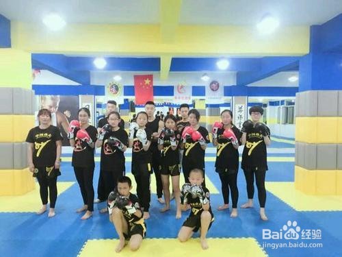 中国武术的分类