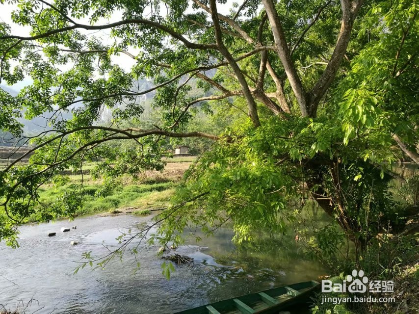 世外桃源—坝美旅游攻略