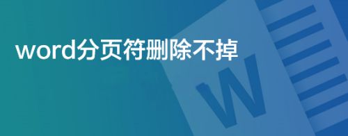 word分页符删除不掉