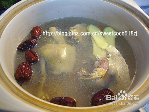 一鸽胜九鸡--鲜莲鸽子汤