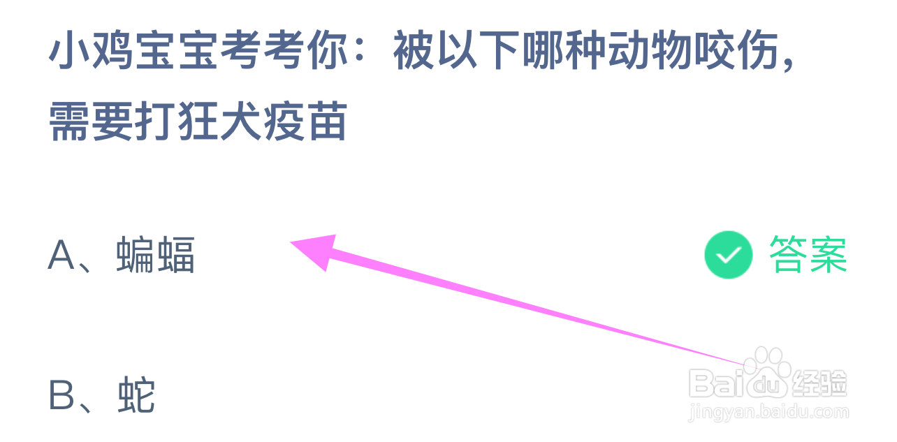 蚂蚁庄园答案被哪种动物咬伤，需要打狂犬疫苗？