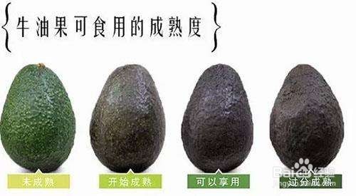 牛油果搭配禁忌