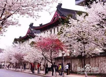 三四月，在这些地方邂逅春天！