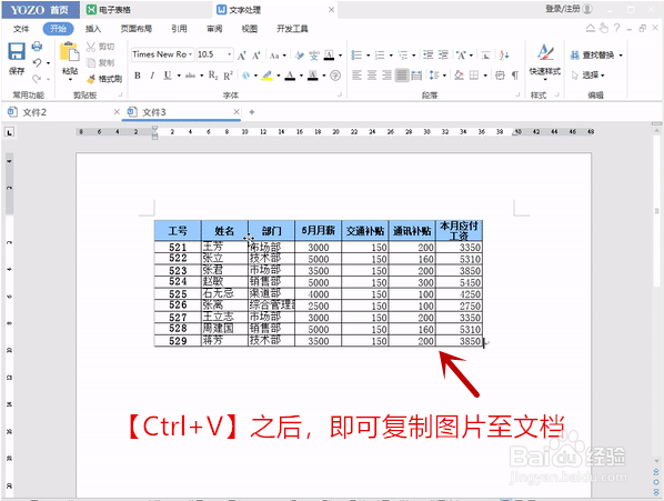 如何将资料以图片形式插入Word？