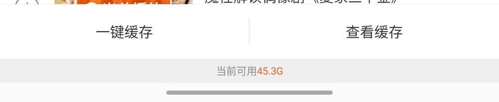 怎样下载芒果TV的视频