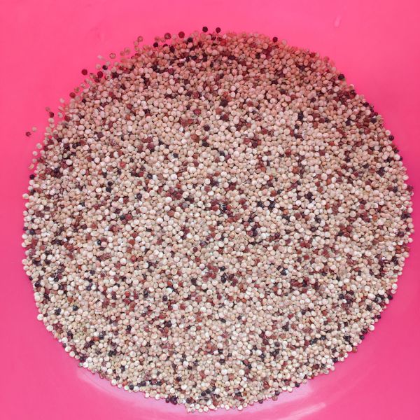 藜麦虾仁时蔬炒饭