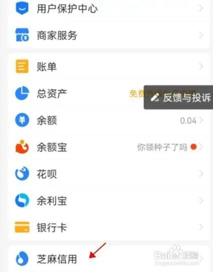 支付宝芝麻分怎样点击更新