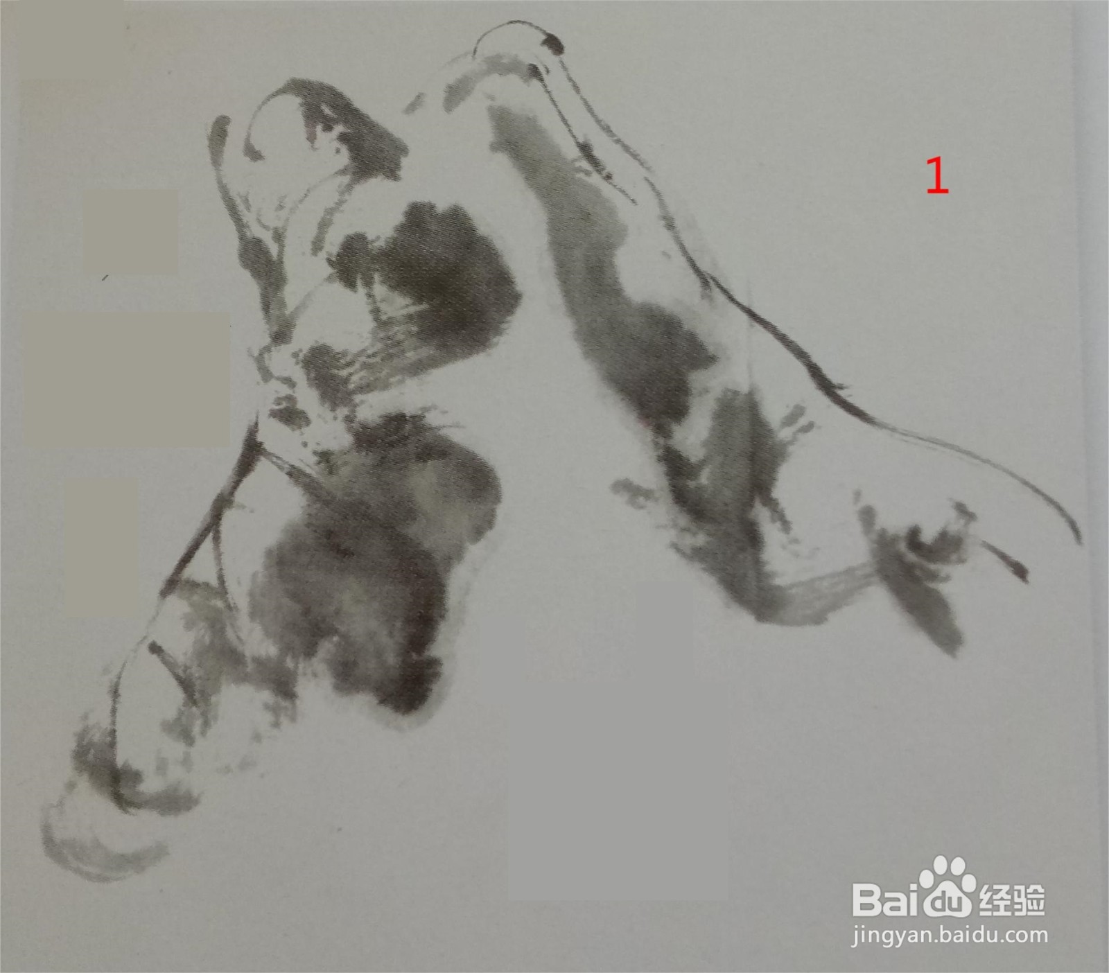 国画:半展荷叶的画法