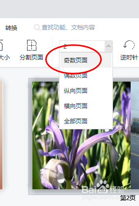 WPS PDF怎样快速选择奇数页面