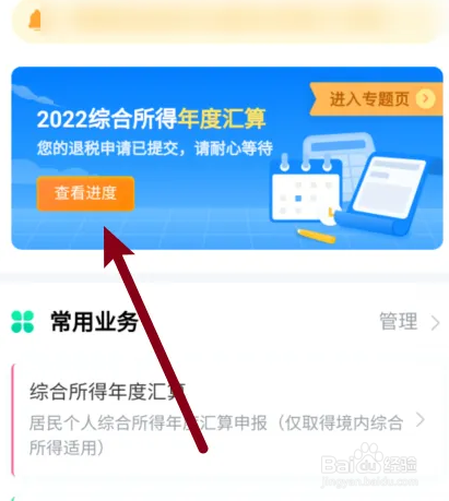 在个人所得税app中，退税进度信息如何查看