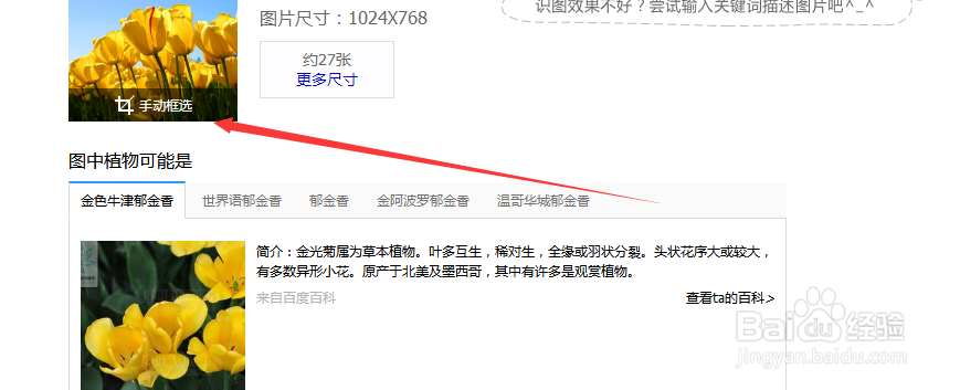 怎么用图片搜索图片的含义、来源