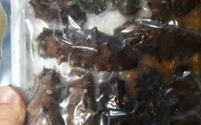 怎样选购即食海参