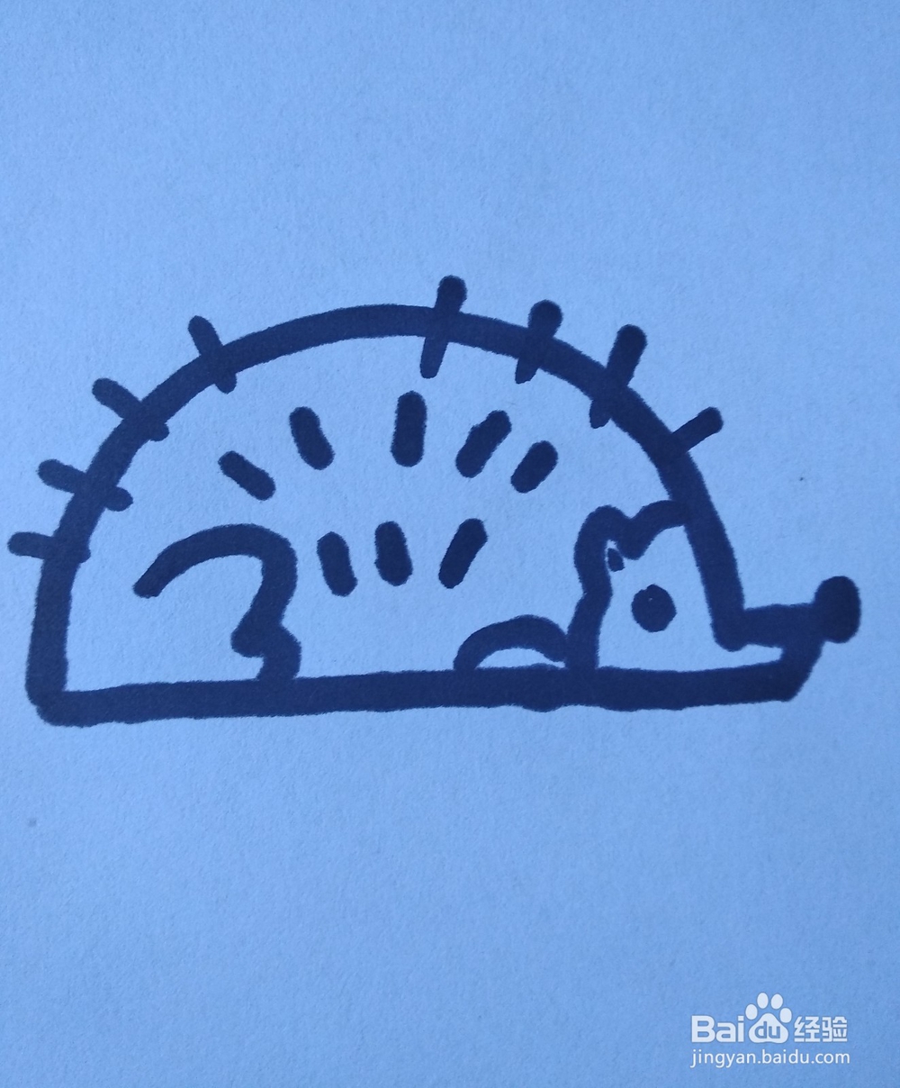 小刺猬的简笔画怎么画